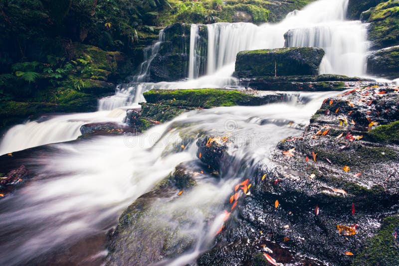 McLean Falls in The Catlins region of New Zealand royalty free stock image