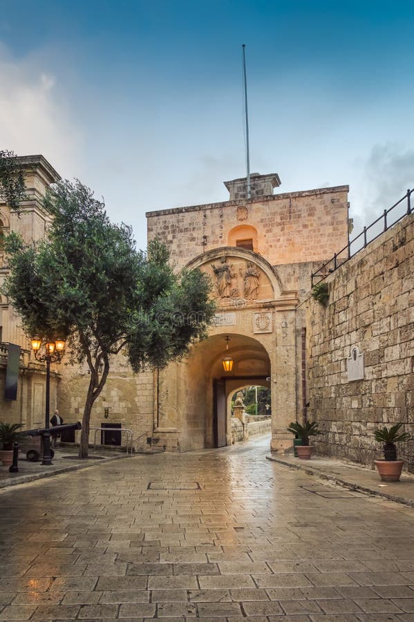 Mdina Malta: pittoresk Mdina port med kanoner och trädet royaltyfri foto