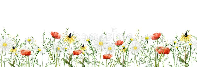 Meadow floral botanical seamless border design.Horizontal herbal banners on white background for wedding invitation, business products. web banner with leaves, branches, widflowers