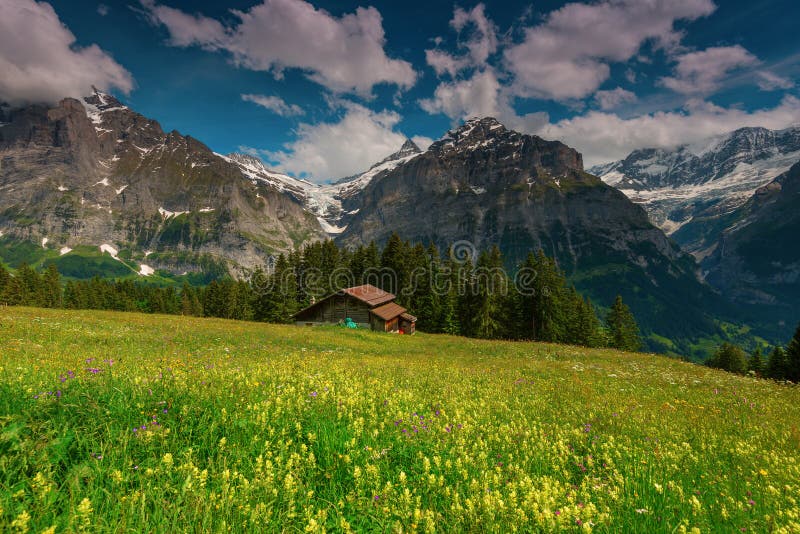 Summer Alpine Meadow Landscape With Clouds Grindelwald Switzerland