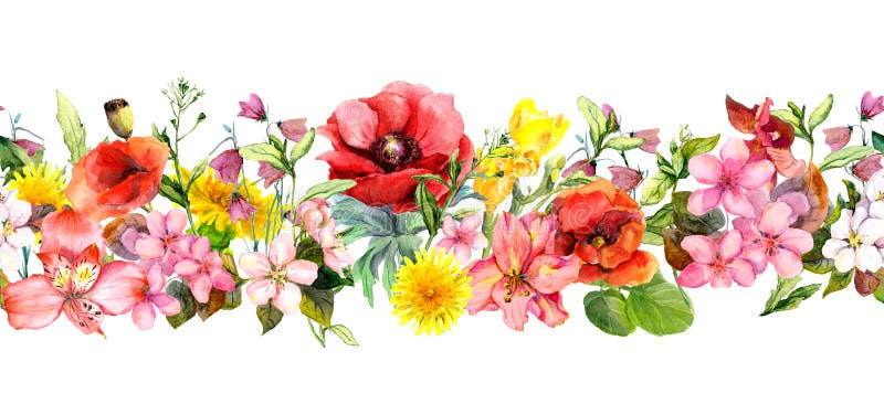 Meadow flowers, wild grasses and leaves. Repeating summer horizontal border. Floral watercolor stock illustration Meadow flowers, wild grasses and leaves. Repeating summer horizontal border. Floral watercolor stock illustration