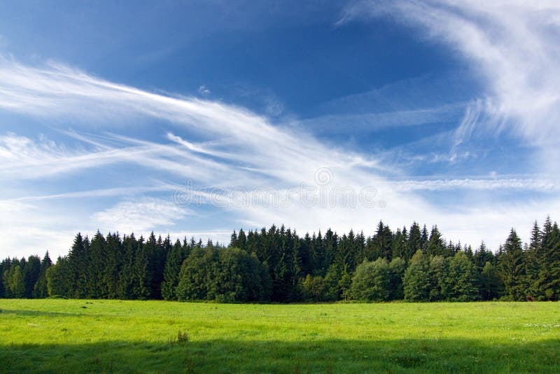 Meadow, forest and blue sky