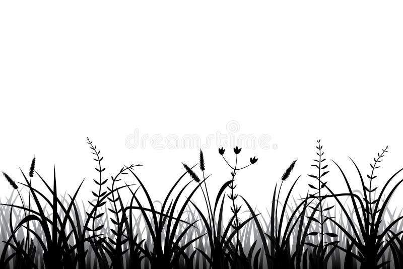 Meadow grass silhouette