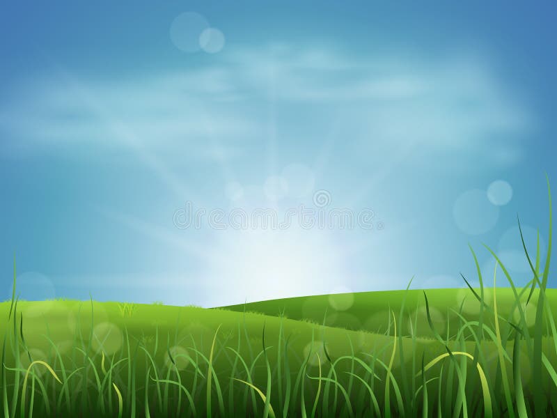 Meadow grass and sky