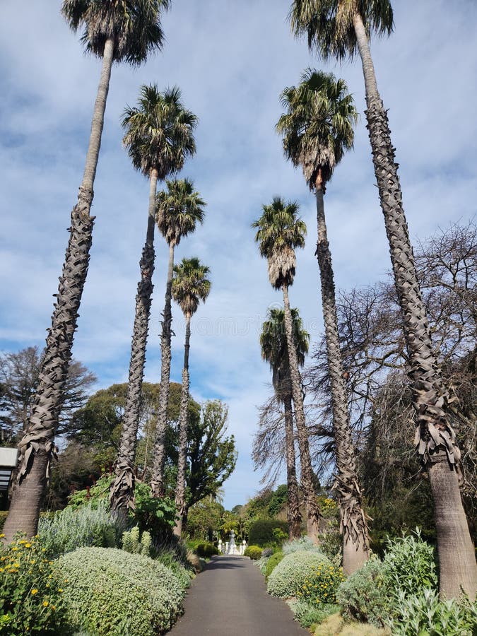 Meadow Lane Park Tree Greenery Stock Photos Free & RoyaltyFree Stock