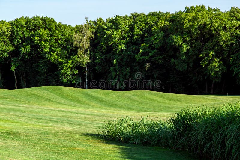 Meadow with lawn and undulating landscape. stock images Meadow with lawn and undulating landscape. stock images