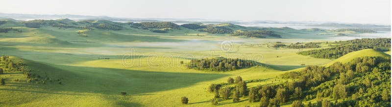 Meadow in the morning