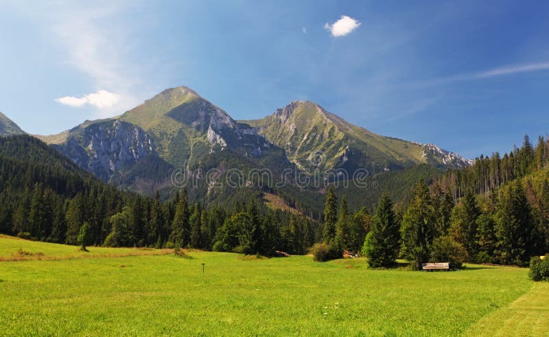 Meadow and mountain