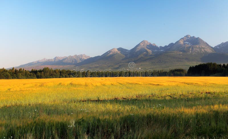 Meadow and mountain