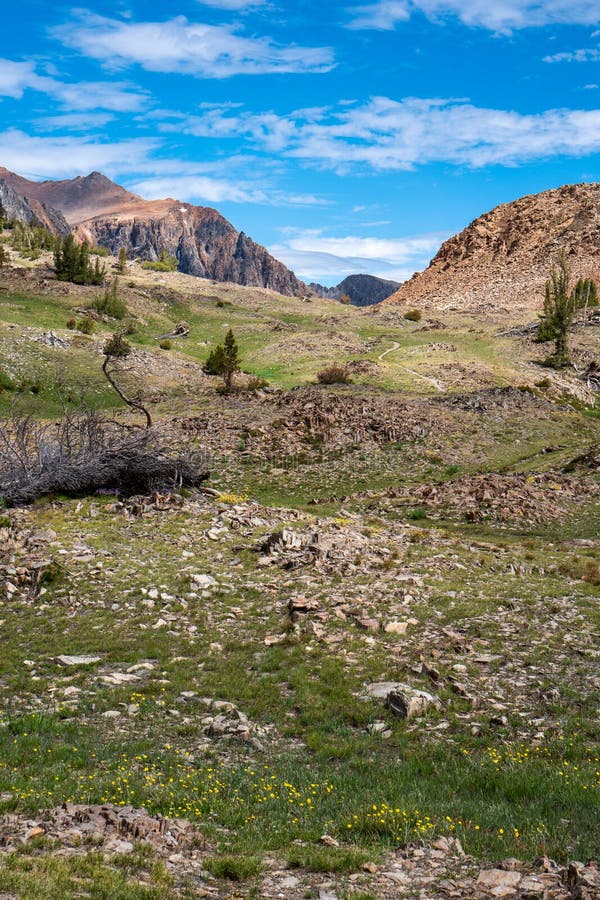 Meadow and mountains along the 20 Lakes Basin trail hike in California Eastern Sierra Nevada Mountains. Pretty meadow with royalty free stock images Meadow and mountains along the 20 Lakes Basin trail hike in California Eastern Sierra Nevada Mountains. Pretty meadow with royalty free stock images