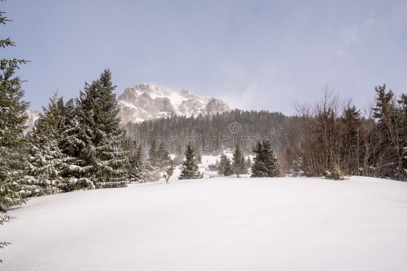 Louka v horách v pozadí lesa s hřebenem pokrytým sněhem v zimě, slovensko mala fatra