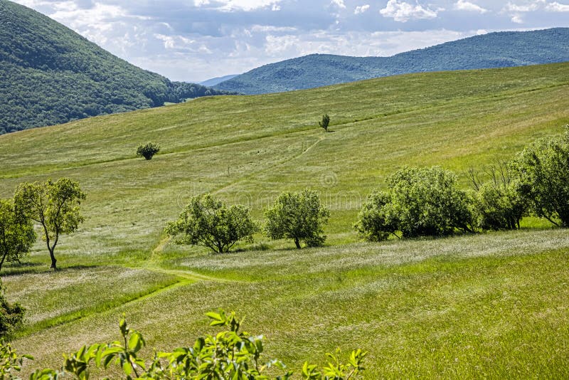 Lúka pri obci Lucka, Slovensko, prírodná scenéria