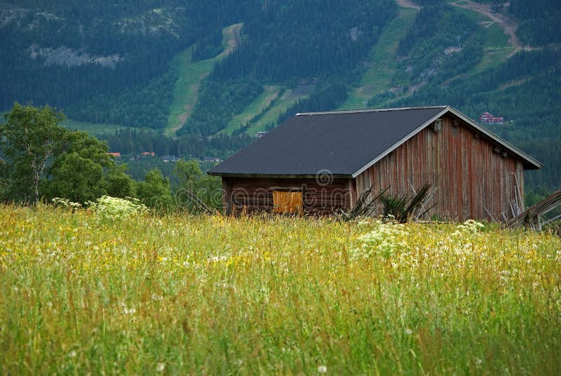 Meadow with old barn