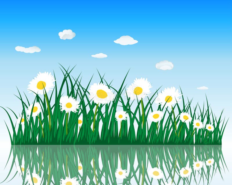 Meadow with reflection royalty free illustration