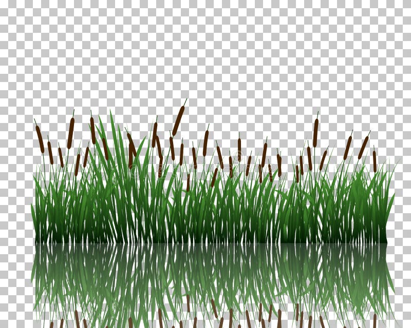Meadow with reflection royalty free illustration