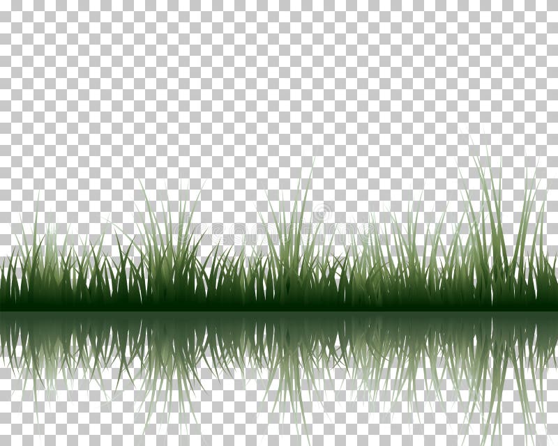 Meadow with reflection royalty free illustration
