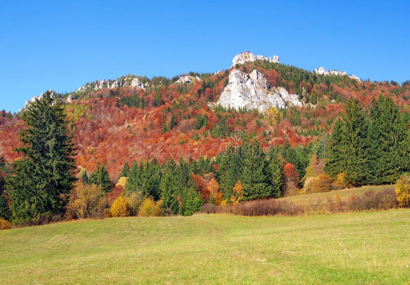 Meadow and rocks in Vratna Valley, Slovakia