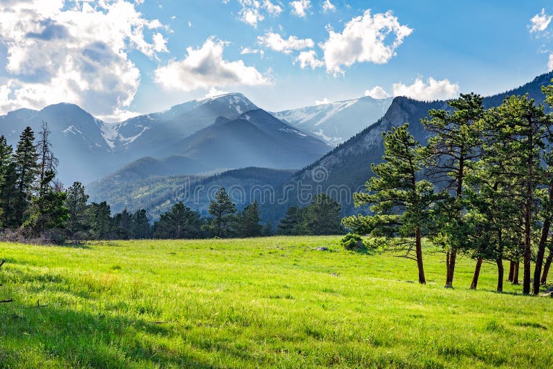 Meadow in Rocky Mountain National Park