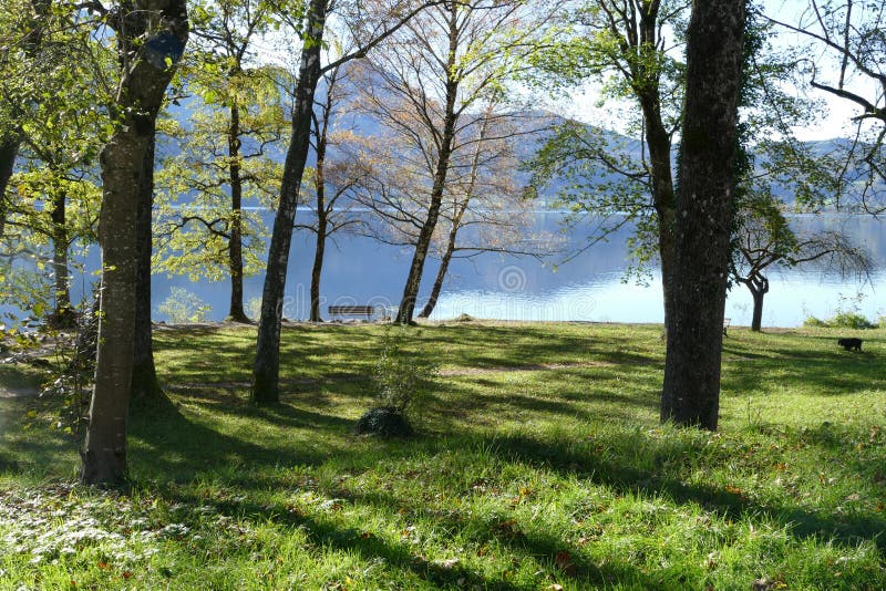 Meadow with trees and park bench on a blue mountain lake