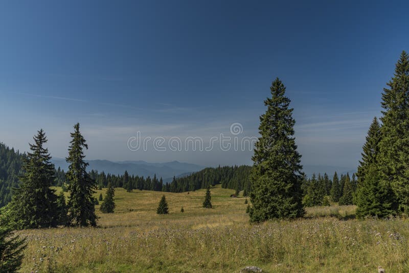 Meadow under Velky Choc hill in north Slovakia in summer