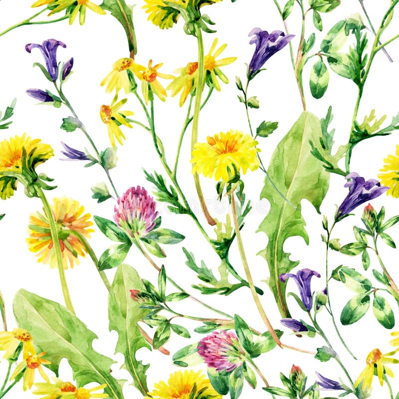 Meadow watercolor wild flowers seamless pattern