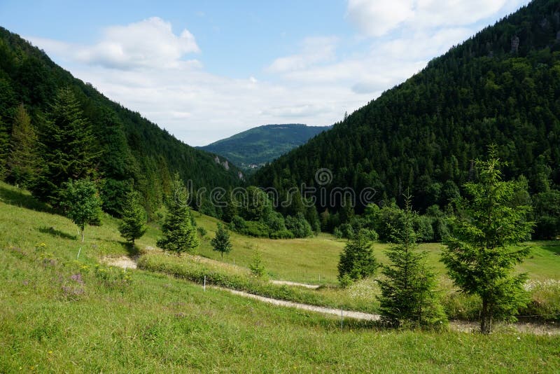 Louky a lesy nad Jasenovou s kopci Národního parku Malá Fatra, Slovensko