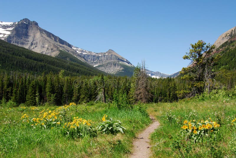 Meadows, forests and mountain stock image