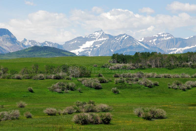 Meadows, forests and mountains royalty free stock photo