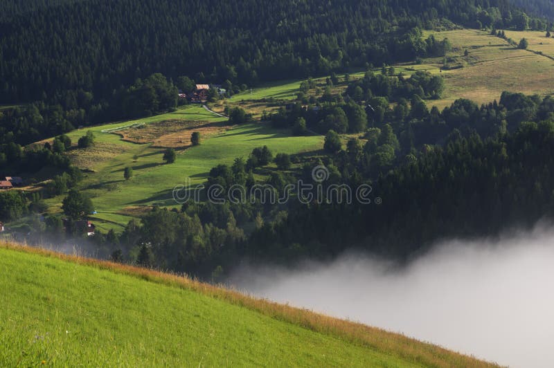 Meadows at Mala Fatra