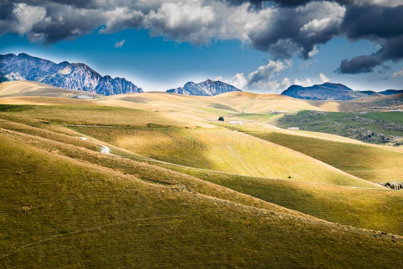 Meadows in the Mountains Create Sinuous Lines. Stock Photo - Image of ...