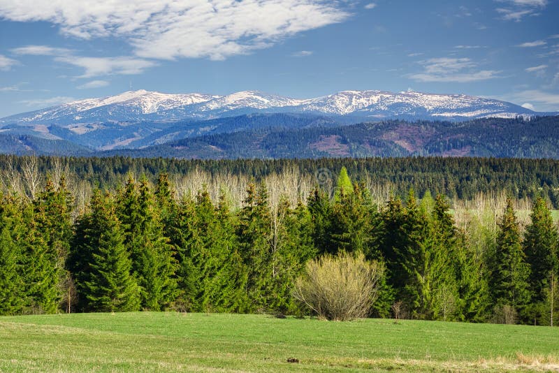 Meadows near Podbanske under West Tatras in Slovakia