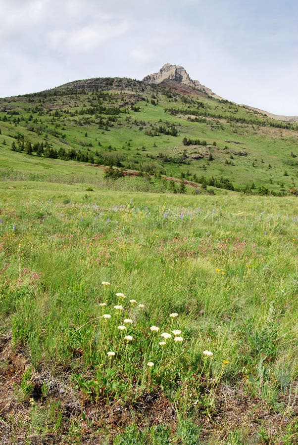 Meadows to mountains stock photos