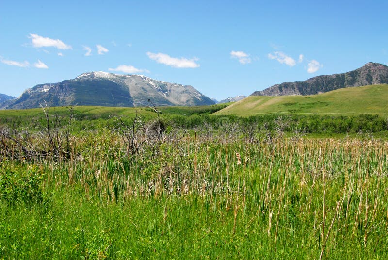 Meadows to mountains stock photography