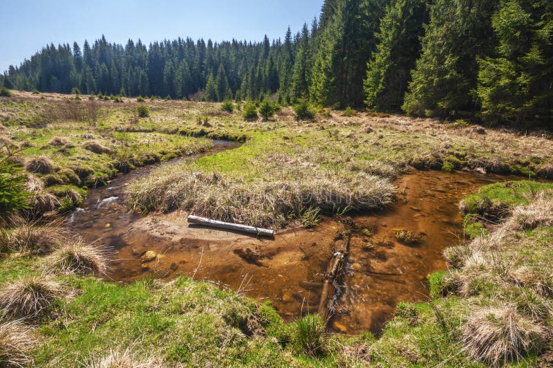 Meandr Kamenistého potoka v Kamenisté dolině