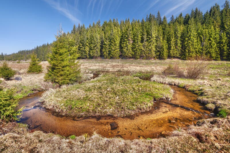 Meander of Kamenisty potok at Kamenista dolina valley