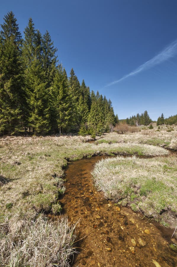 Meandr Kamenistého potoka v Kamenisté dolině