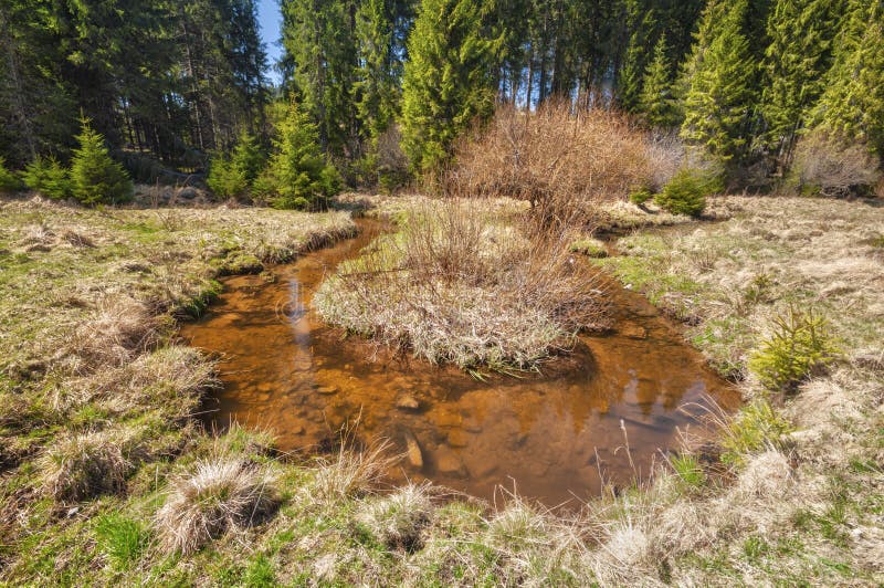 Meander of Kamenisty potok at Kamenista dolina valley