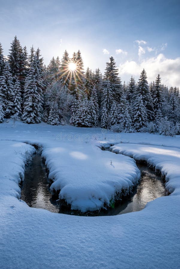 Meandering of the flow of the mountain stream in snowy winter country. Liptovska Luzna, Slovakia