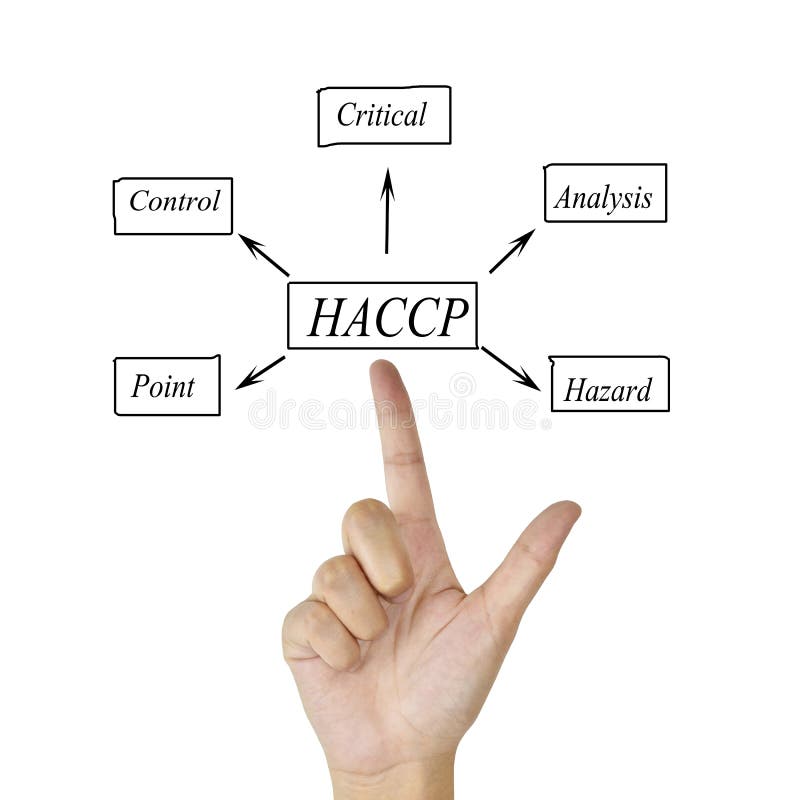 The Meaning of HACCP Concept (Hazard Analysis of Critical Control