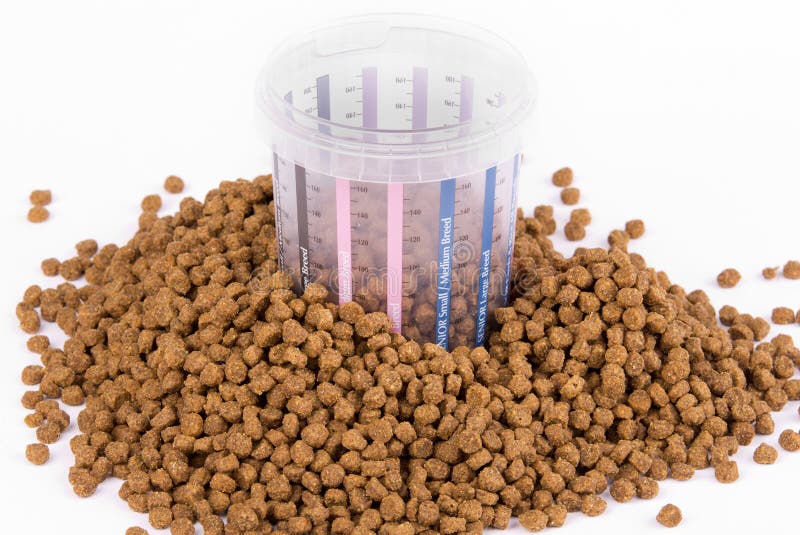 Measured Dose Of Food For Dog Stock Photo Image of