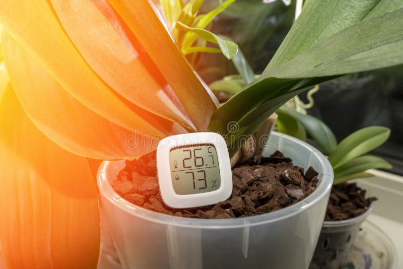 https://thumbs.dreamstime.com/b/measurement-humidity-temperature-houseplants-thermometer-hygrometer-background-plant-sunlight-maintaining-267538234.jpg