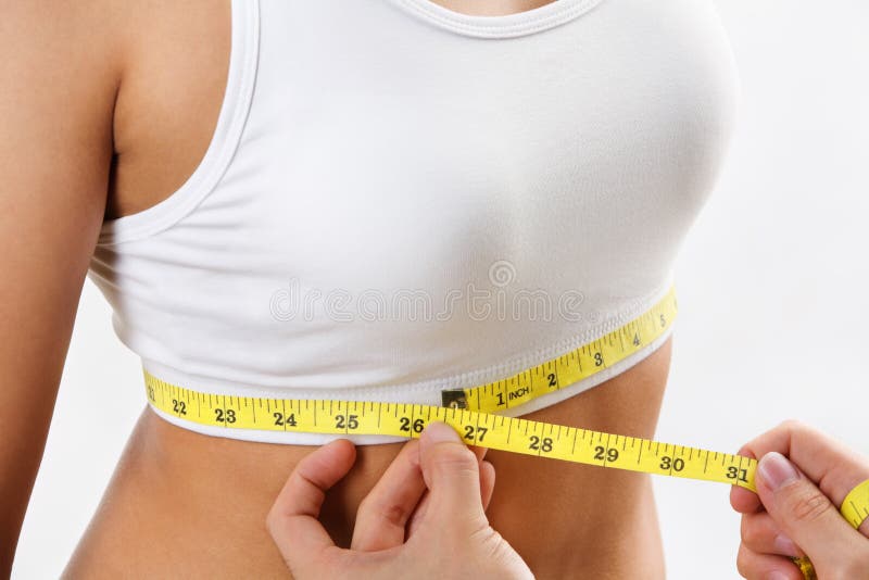 Measuring bra cup size stock photo. Image of adult, holding - 11225636