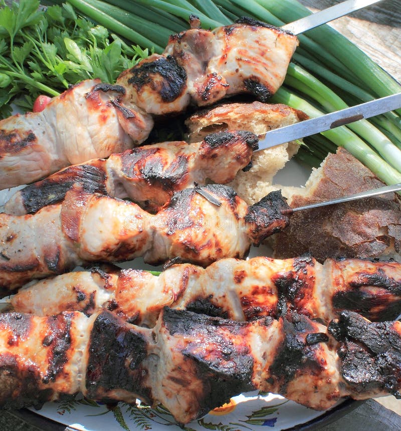 Meat on the coals stock photo. Image of picnic, cooking 53943186