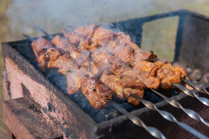 Delicious barbecue on the coals cooked with soul. Meat on the coals, the smell of which excites the blood and the desire to eat. I cooked it myself and ate it royalty free stock photography Delicious barbecue on the coals cooked with soul. Meat on the coals, the smell of which excites the blood and the desire to eat. I cooked it myself and ate it royalty free stock photography