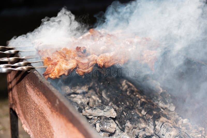 Delicious barbecue on the coals cooked with soul. Meat on the coals, the smell of which excites the blood and the desire to eat. I cooked it myself and ate it royalty free stock photos Delicious barbecue on the coals cooked with soul. Meat on the coals, the smell of which excites the blood and the desire to eat. I cooked it myself and ate it royalty free stock photos