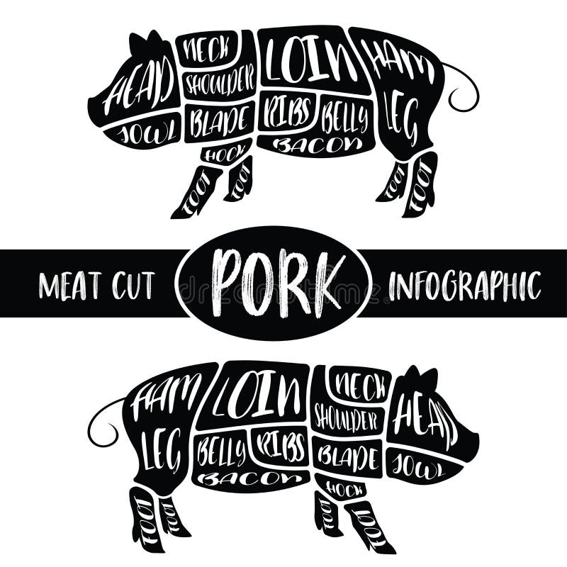 Meat cut infographic , Pig pork parts graphic vector illustration