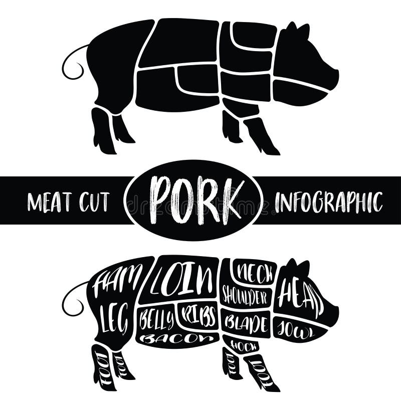 Meat cut infographic , Pig pork parts graphic , print for sign wallpaper symbol badge label shirt others