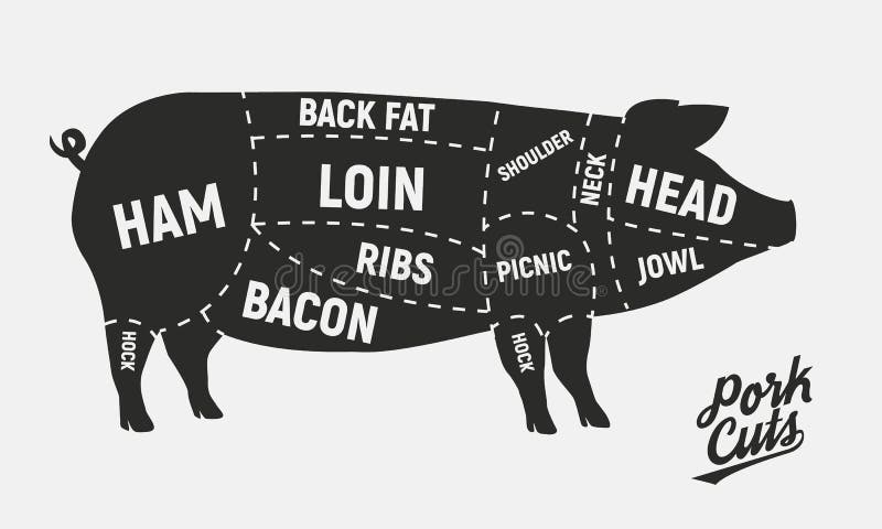 Meat cuts. Pork cuts. Vintage Poster for butcher shop. Retro diagram. Vector illustration vector illustration Meat cuts. Pork cuts. Vintage Poster for butcher shop. Retro diagram. Vector illustration vector illustration