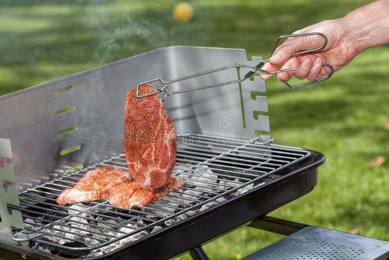 Meat on grill stock photo. Image of garden, meat, eating 39680138