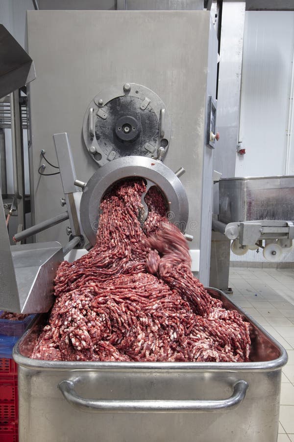 Meat grinder in action and ground beef meat. electric meat grinder.  Unidentifiable butcher holding tray full of minced raw red meat leaving  machine in Stock Photo - Alamy